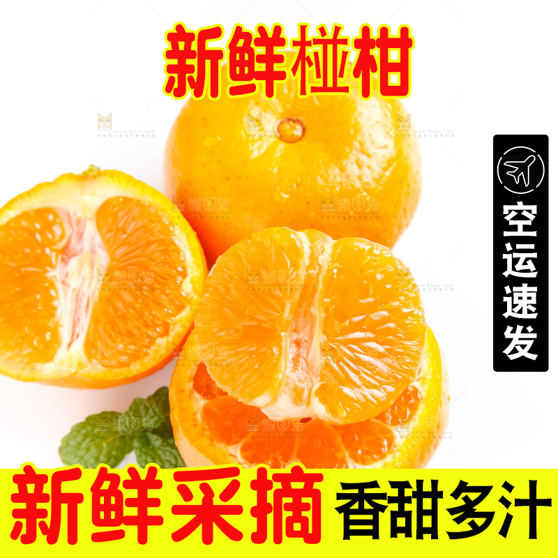 白底上的永春芦柑
