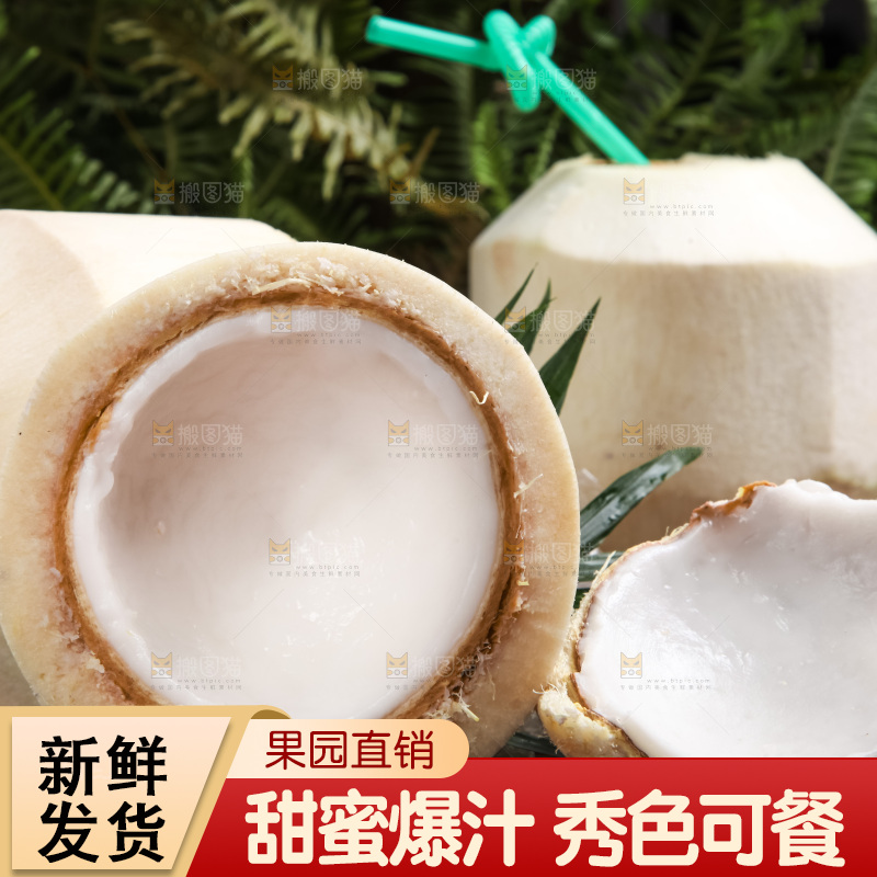 木底上放着泰国椰子