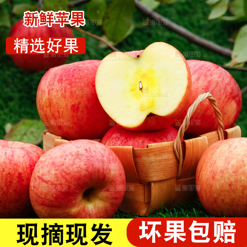 草地上放着冰糖心苹果