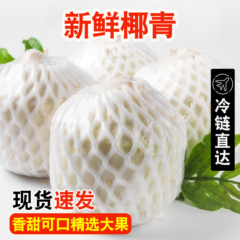 白底上放着青椰子