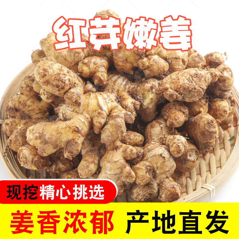 白底上摆放着云南小黄姜