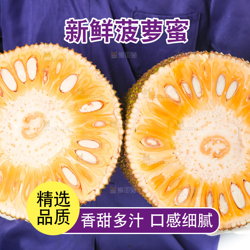 白底上的越南菠萝蜜