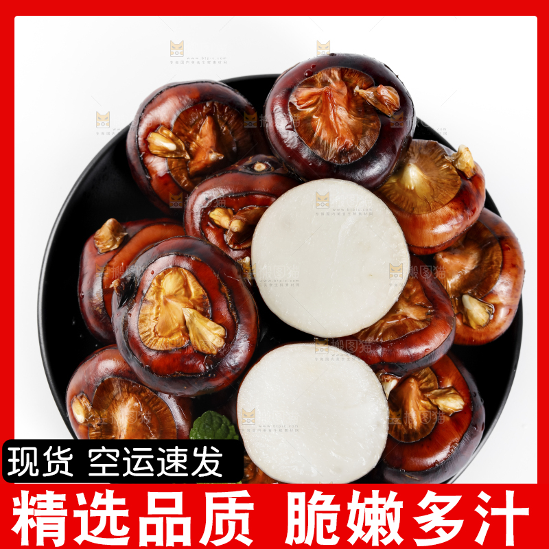 白底上的菩荠