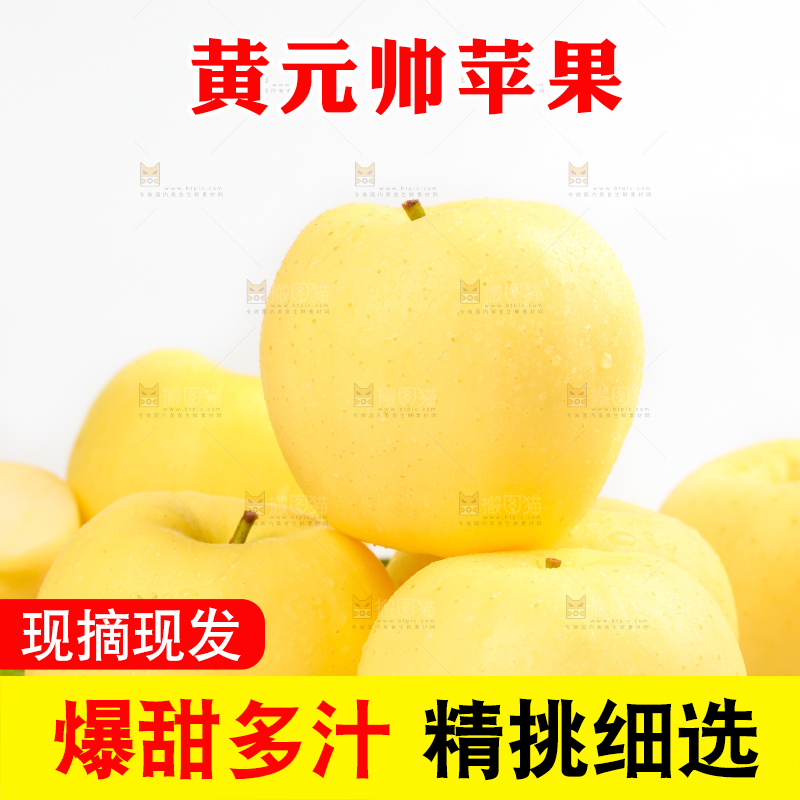 白格子底上的烟台黄金帅