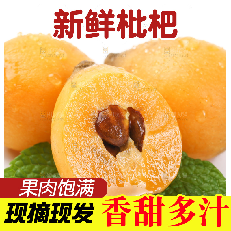 白底上的枇杷