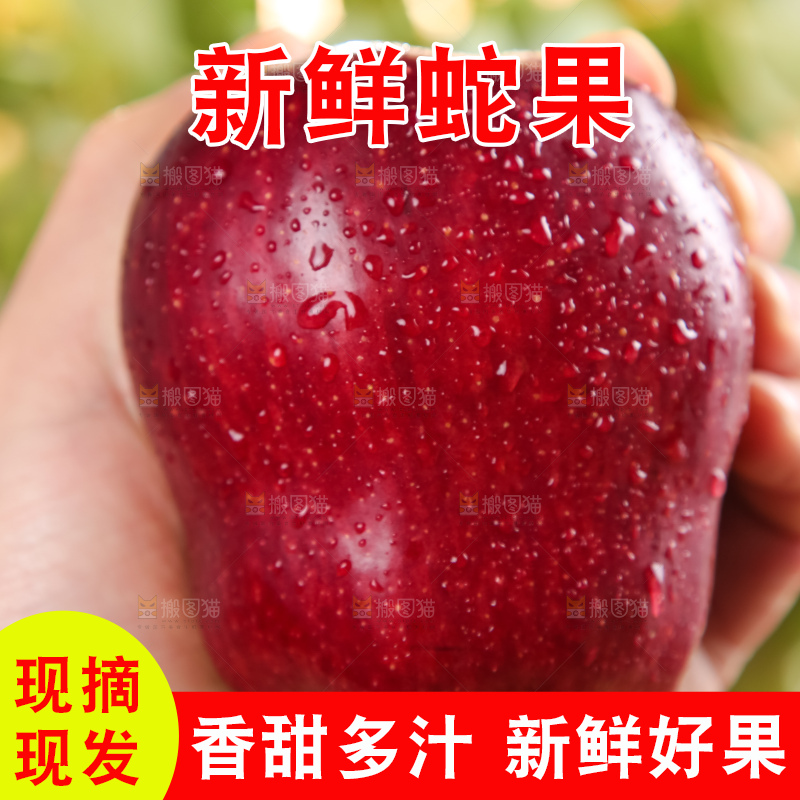 手里拿着新鲜蛇果