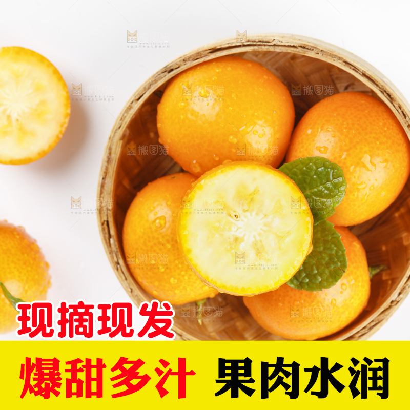 白底上的金钱橘