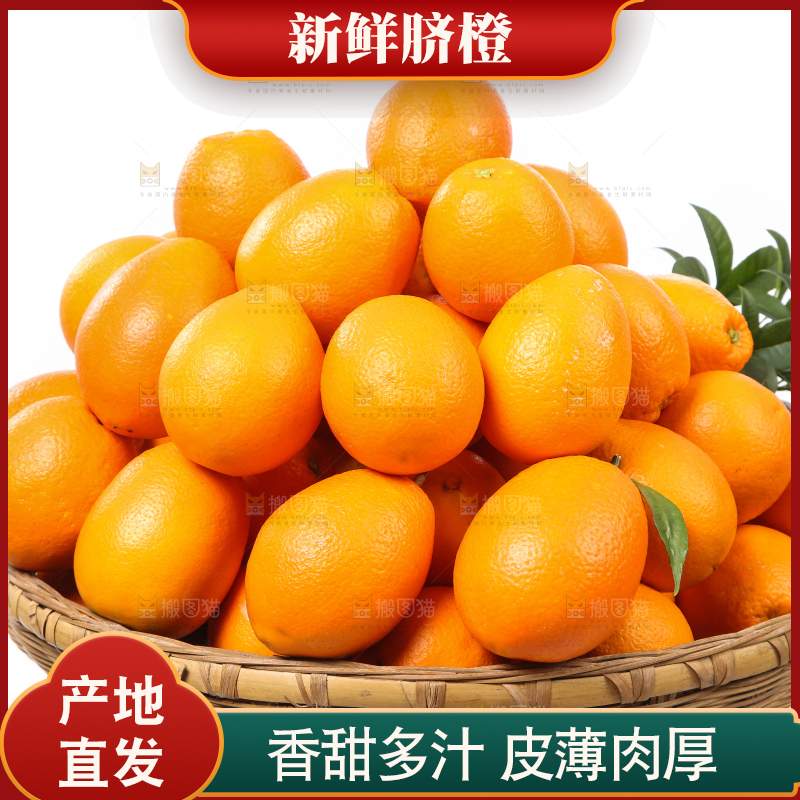 篮子里装着长虹脐橙