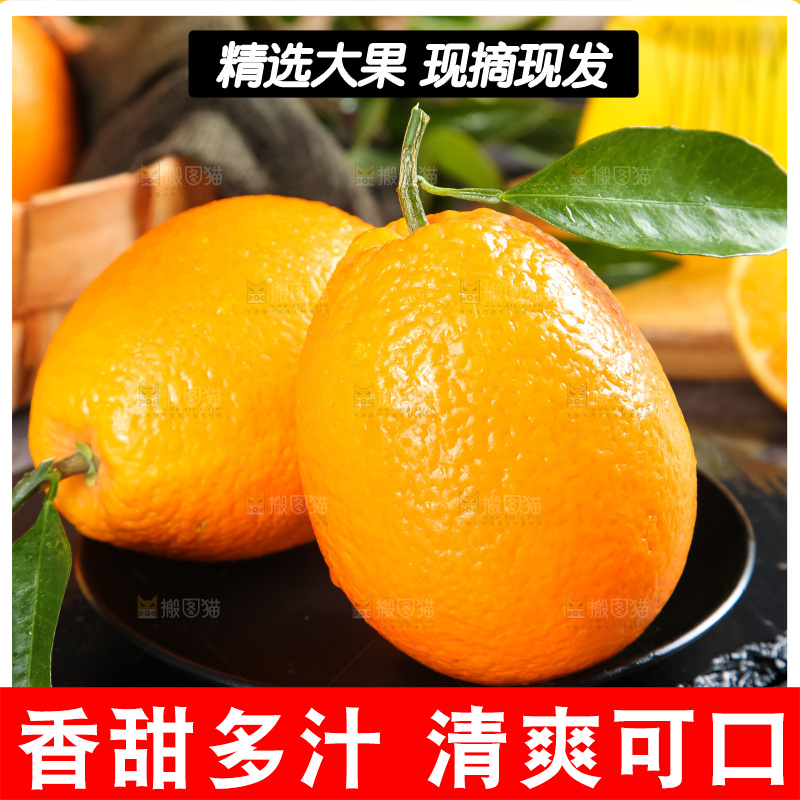 石板上的秭归脐橙