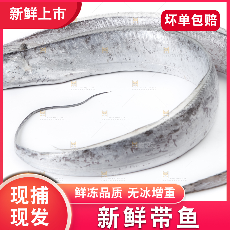 白底上放着带鱼
