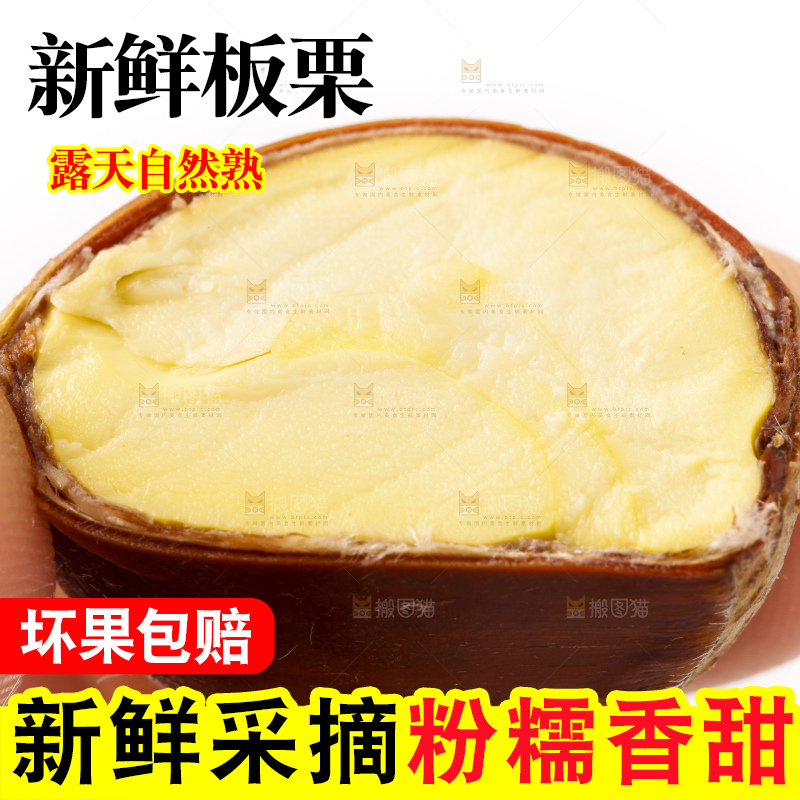 白底上放着迁西板栗