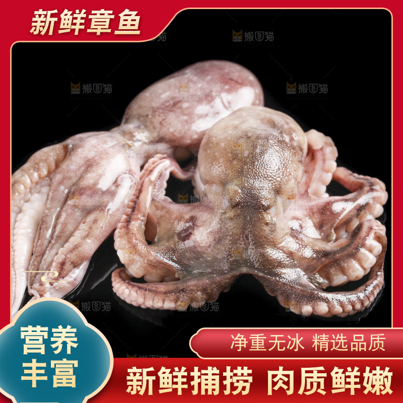 黑底上放着八爪鱼
