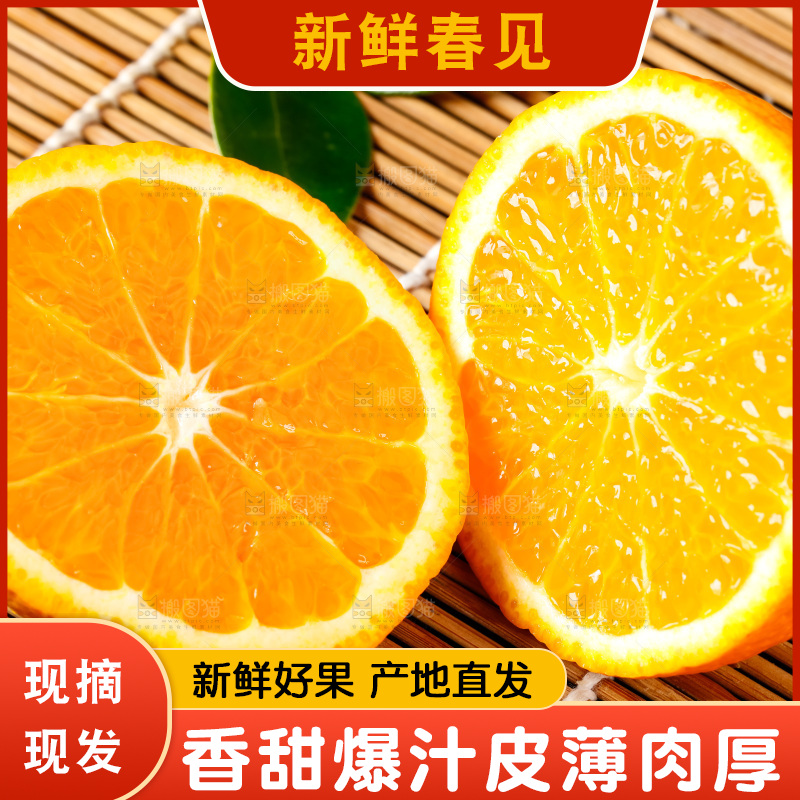竹底上的春见耙耙柑