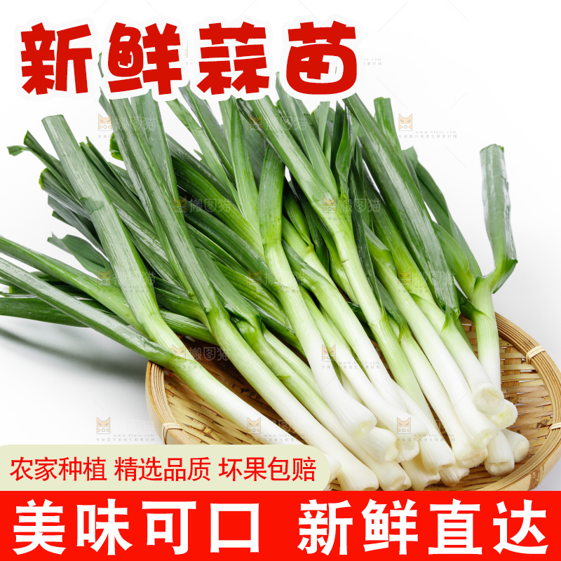 篮子里装着红根蒜苗