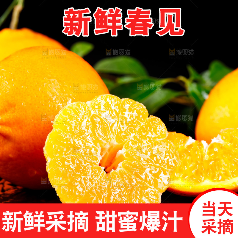 深底上的春见柑桔