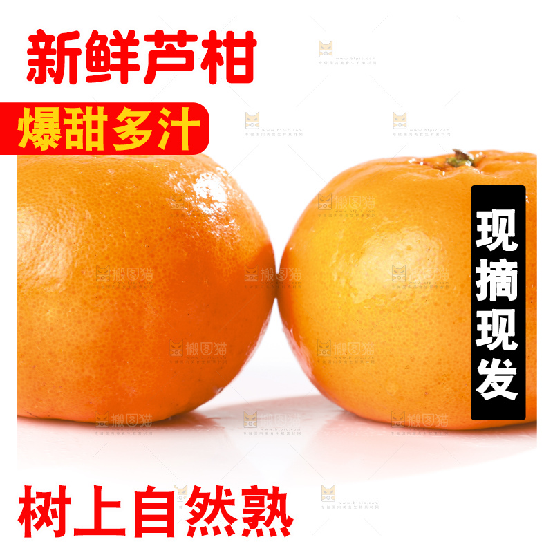 白底上的芦柑