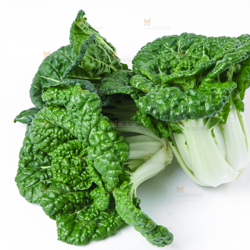 白底上放着奶油小白菜