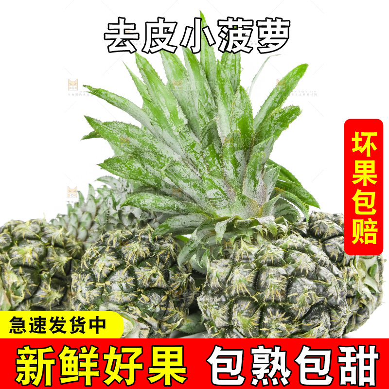 白底上放着泰国小菠萝