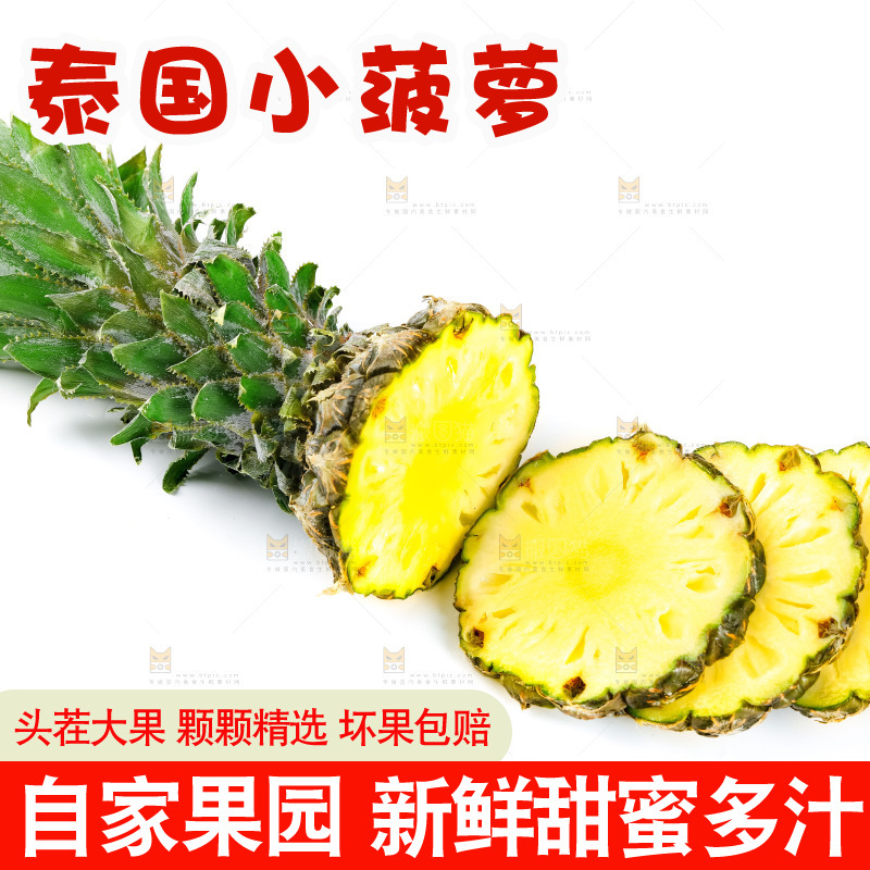白底上的泰国迷你小菠萝