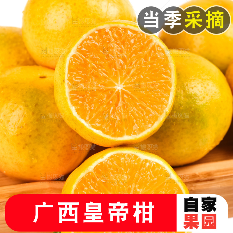白底木盘里的武鸣皇帝柑
