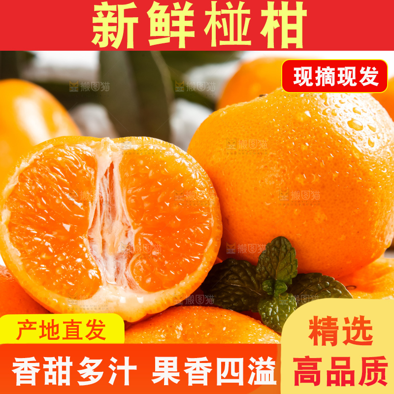 盘子里放着椪柑橘