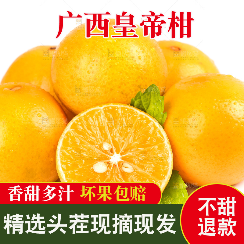 白底上放着一堆新鲜皇帝柑