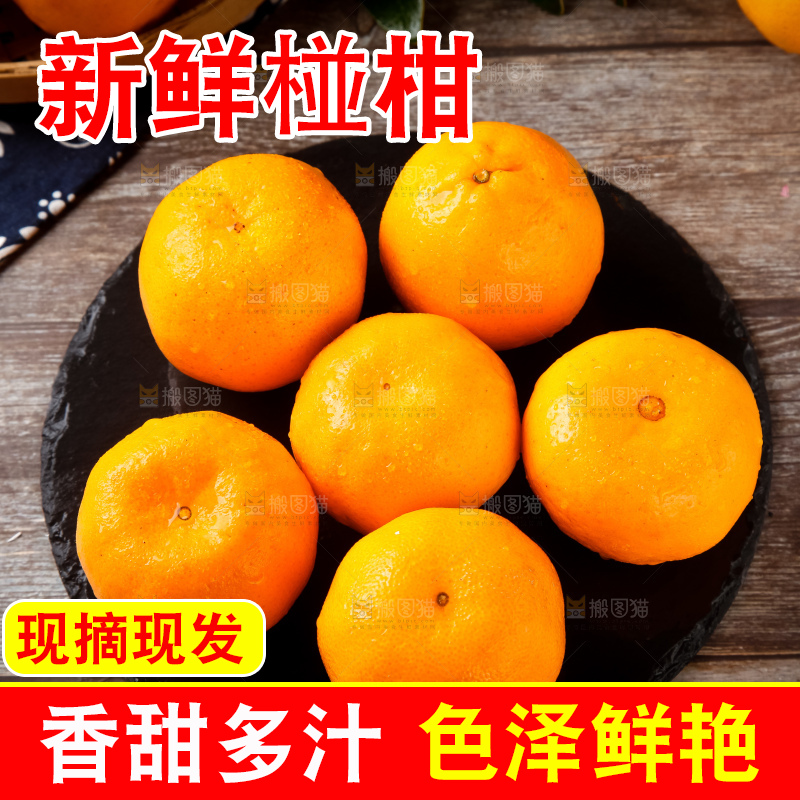 石板上的大理宾川椪柑