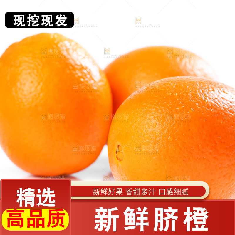 白底上的高山甜橙