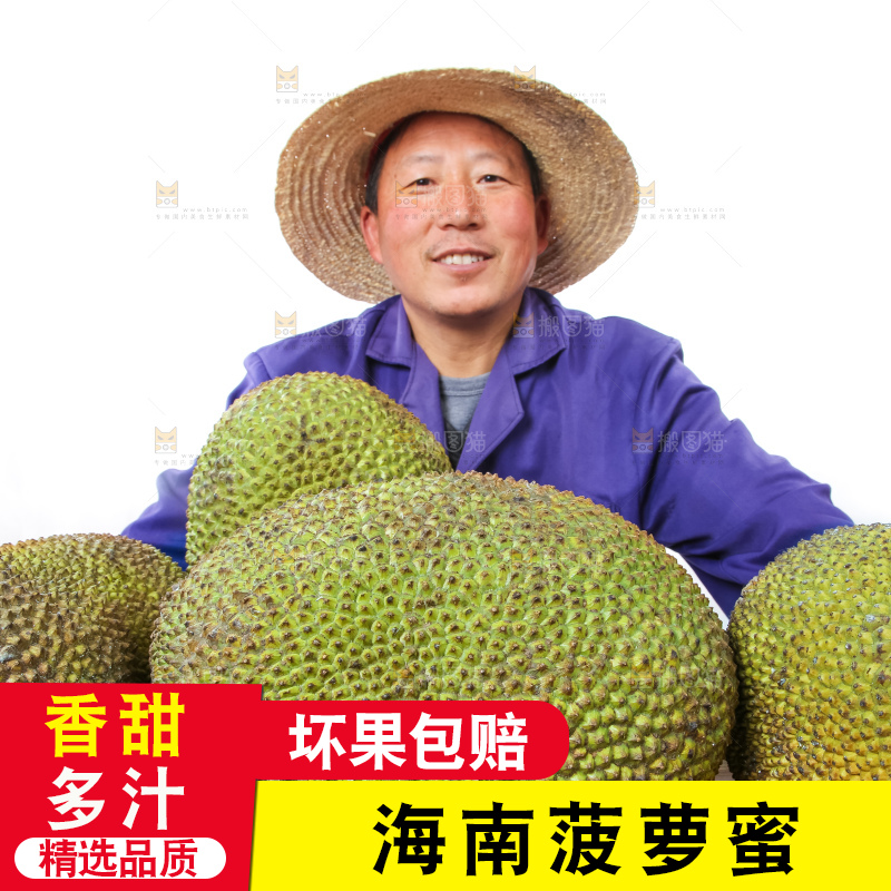 农民手里拿着菠萝蜜