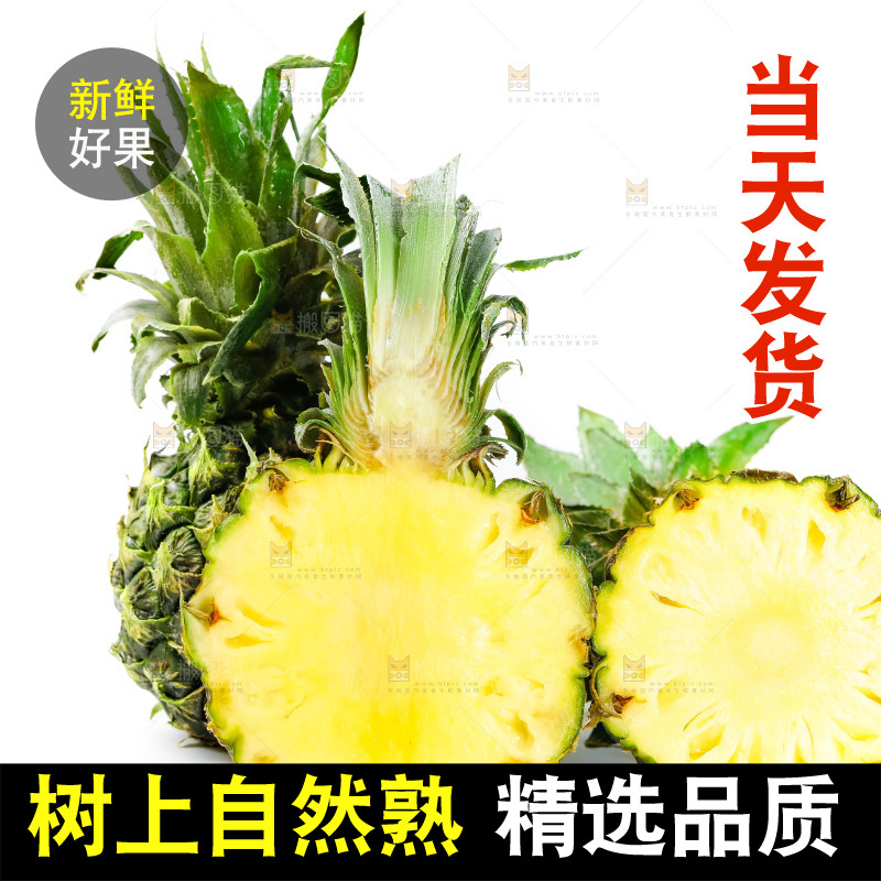 白底上的泰国迷你小菠萝