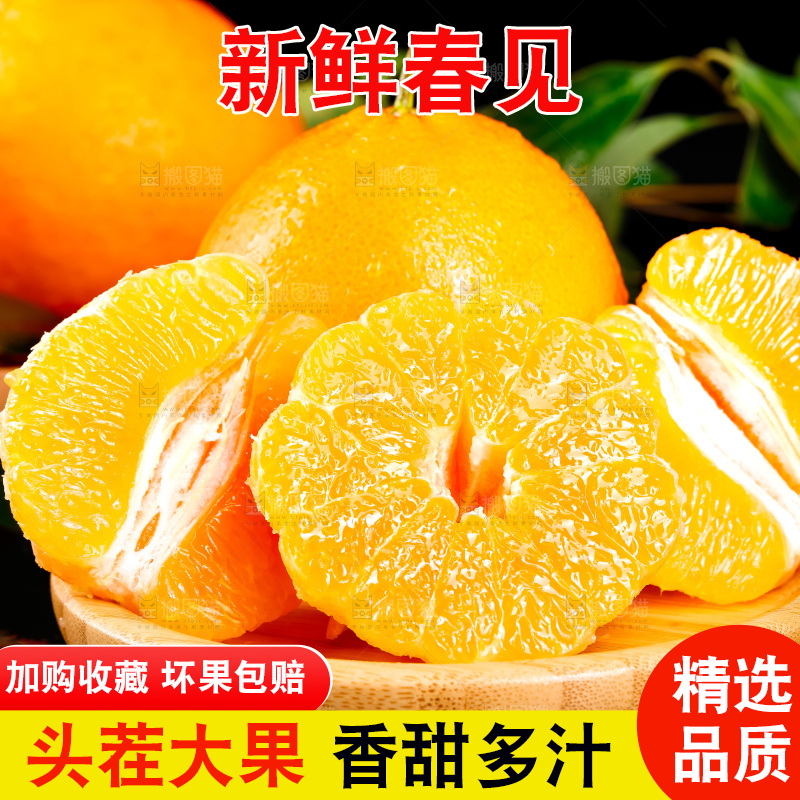 深底上的春见柑桔