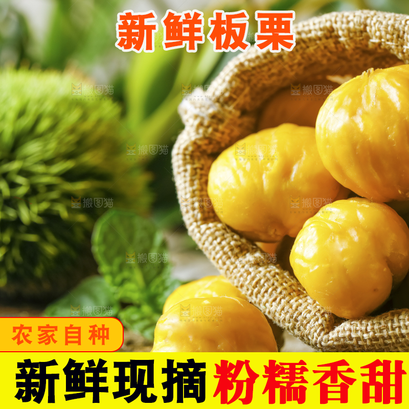 袋子里装着栗子