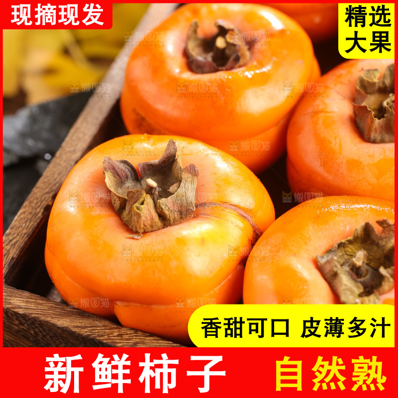 盘子里装着磨盘柿
