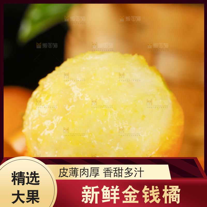 黑底上的小金桔
