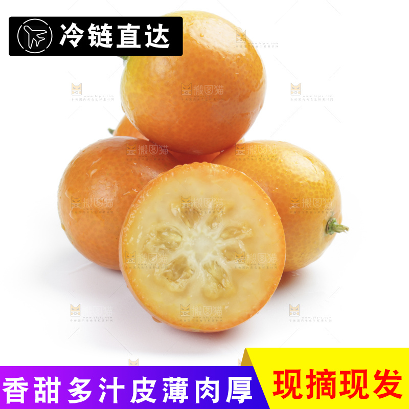 白底上的金钱橘