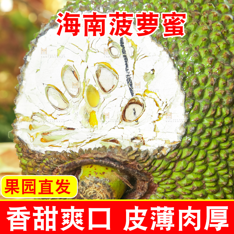 浅底上的泰国红心菠萝蜜
