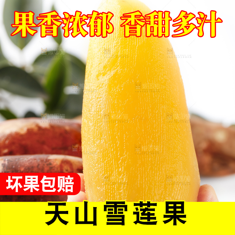手里拿着新鲜雪莲