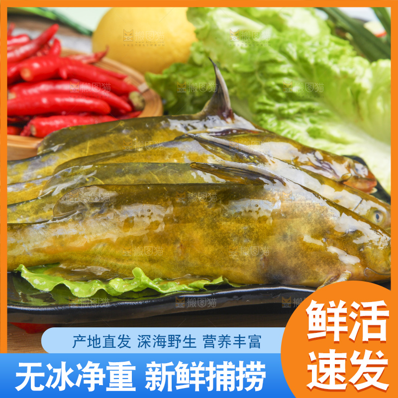 盘子里的黄蜂鱼