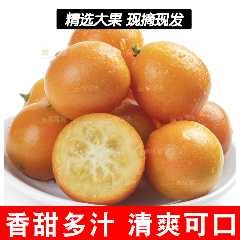 盘子里装着融安金桔