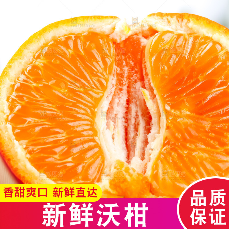 手里拿着新鲜沃柑