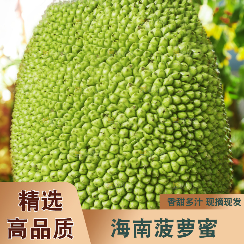 浅底上的泰国红心菠萝蜜