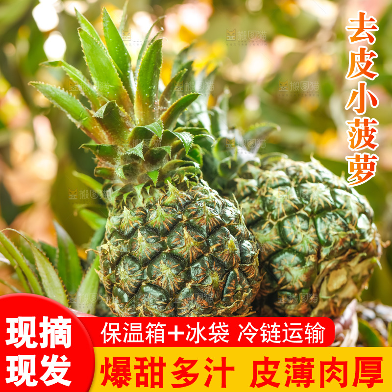 篮子里装着小菠萝
