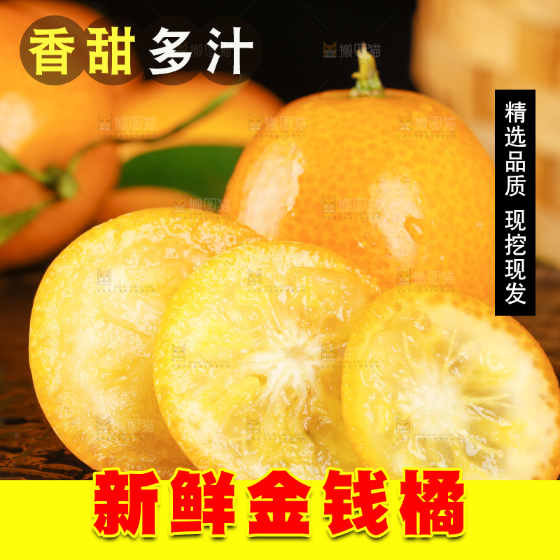 黑底上的小金桔
