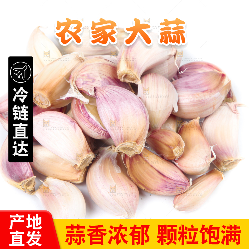 白底上放着紫皮蒜