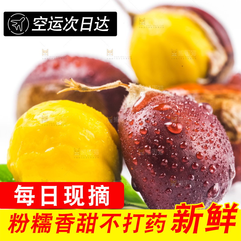 白底上放着迁西板栗