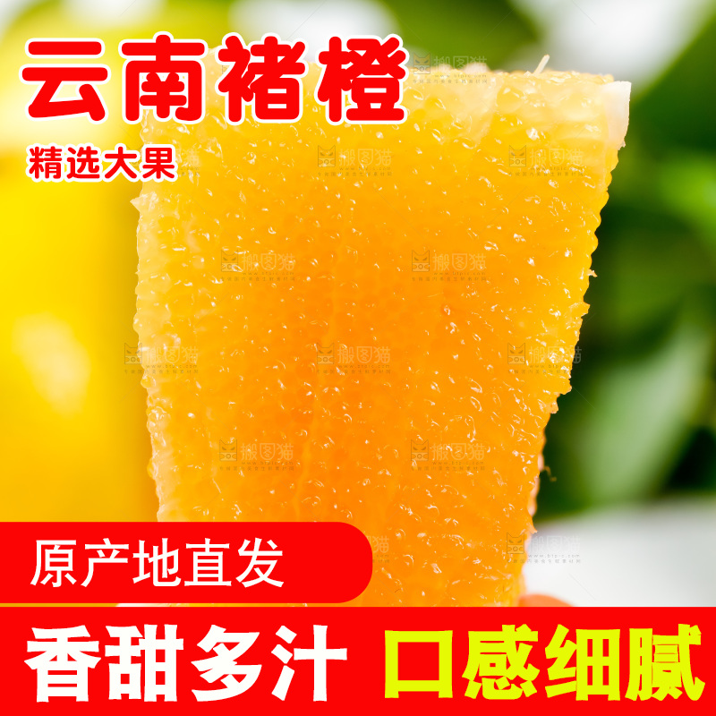 手里拿着新鲜褚橙