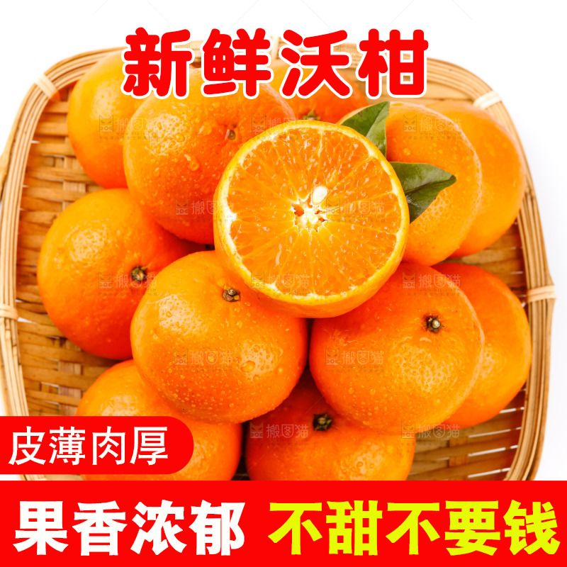 篮子里的贵妃柑