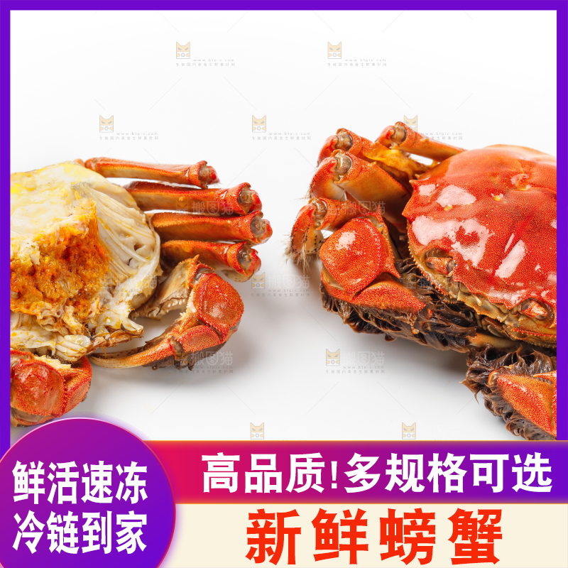 白底上的清蒸螃蟹