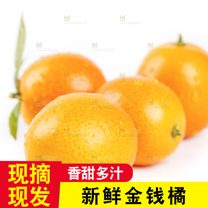 白底上的金桔
