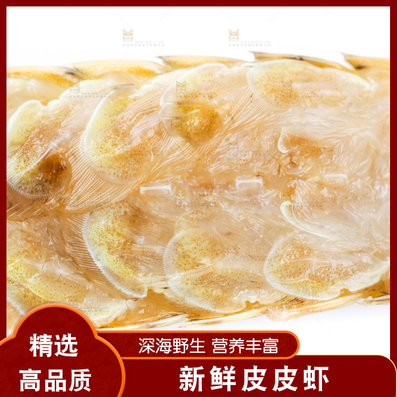 白底上的濑尿虾
